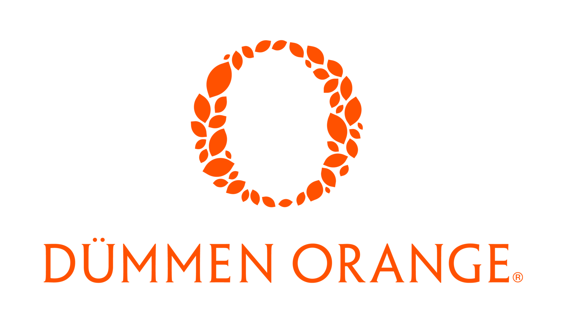 Transparant Logo Horizontal Orange without Tagline