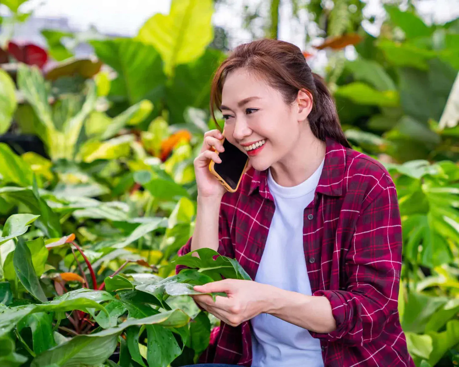 Veredelaar beoordeelt planten in een moderne kas